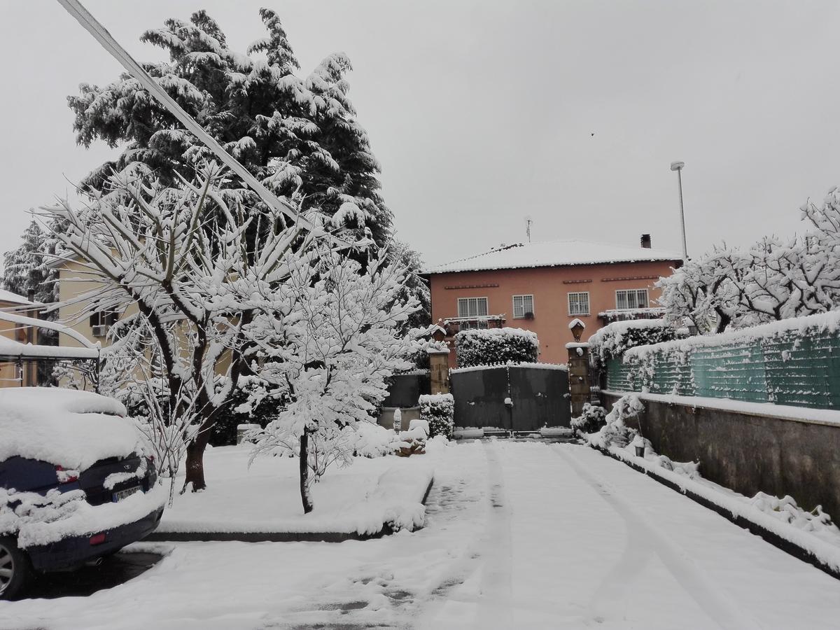 Al Vecchio Olivo Bed & Breakfast Frascati Exterior photo