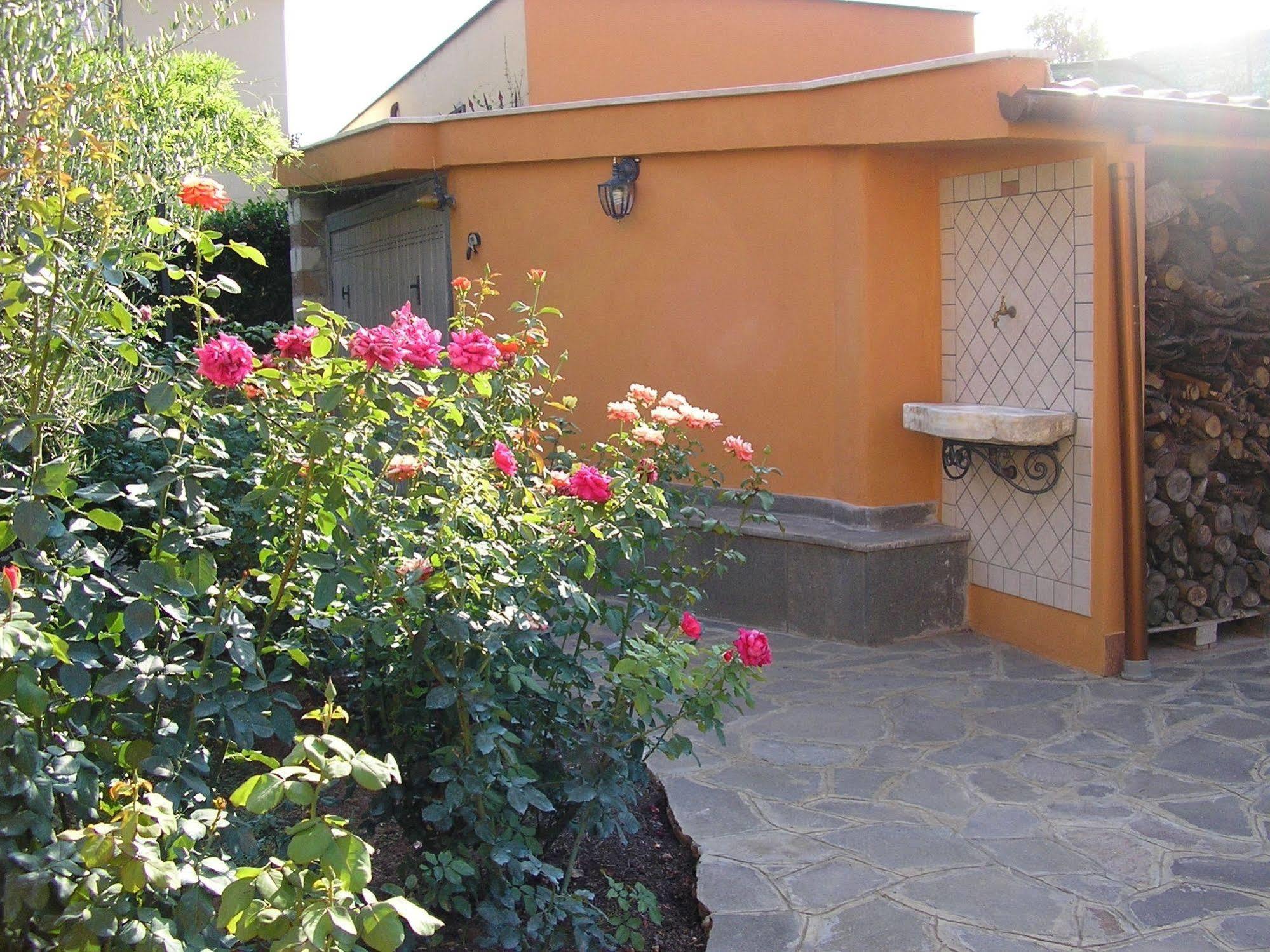 Al Vecchio Olivo Bed & Breakfast Frascati Exterior photo
